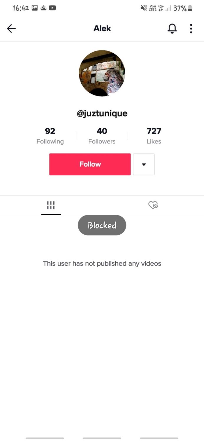 blocked tiktok