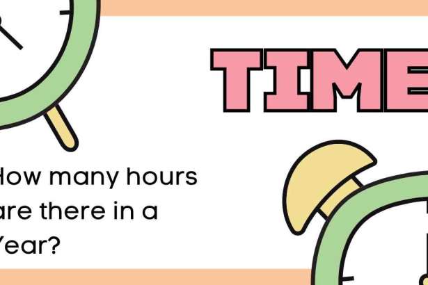 How many hours are there in a Year