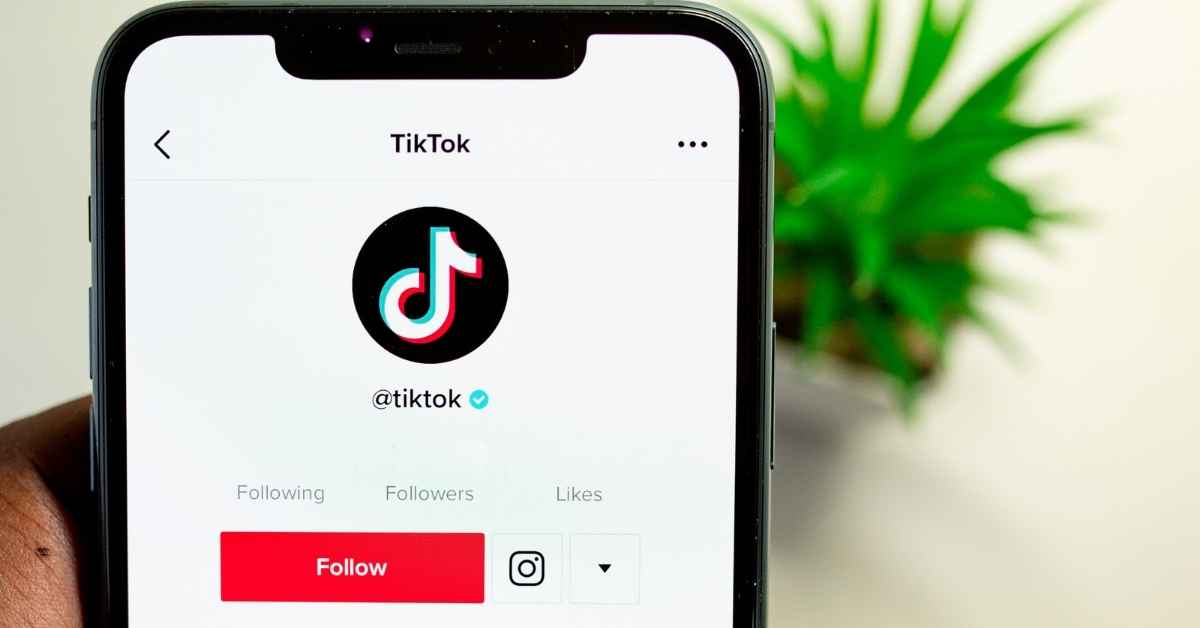 Most Viewed TikTok Videos