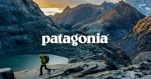 patagonia campaing